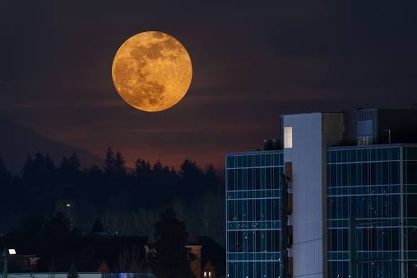 Ada Fenomena Hunter's Moon Malam Ini, Catat Waktu Terbaik untuk Melihat Menurut BMKG