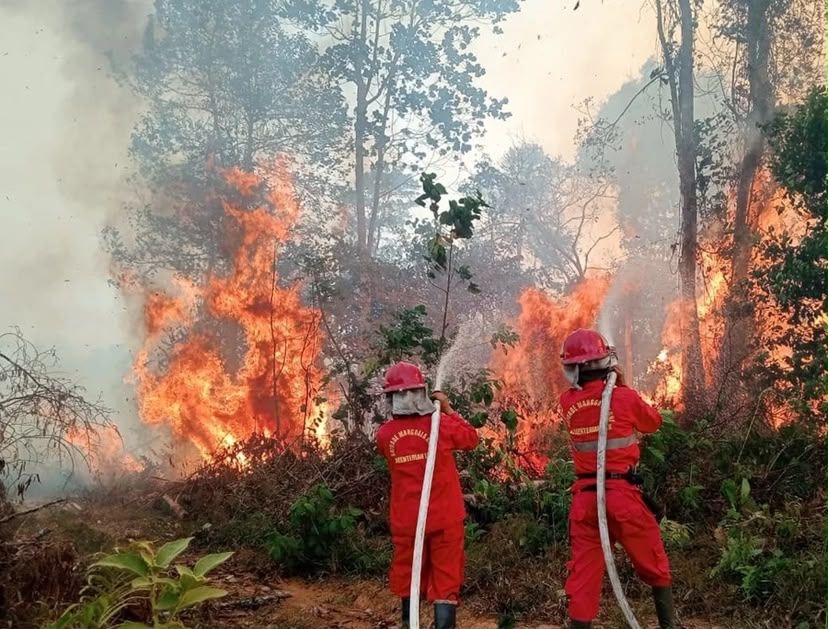 20 Ekskavator dan 100 Motor Bantuan Prabowo Segera Tiba di Sumsel, Diprioritaskan ke Daerah Rawan Karhutla
