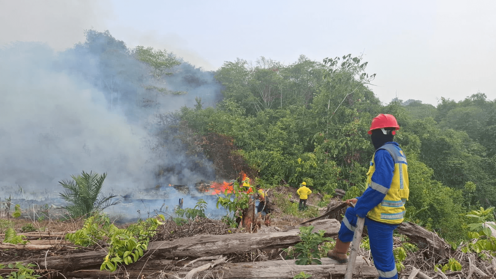 Herman Deru Ungkap Rencana Penggunaan Banpres Rp30 Miliar untuk Karhutla