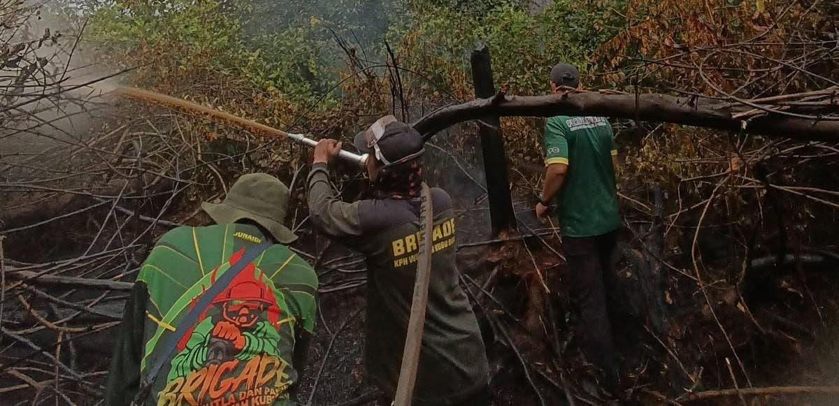 12 Badan Usaha Disegel akibat Karhutla di Sumsel, 44 Orang Jadi Tersangka