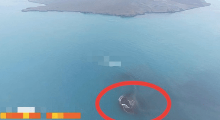 PVMBG Ungkap Penyebab Munculnya Dua Daratan Baru di Anak Krakatau