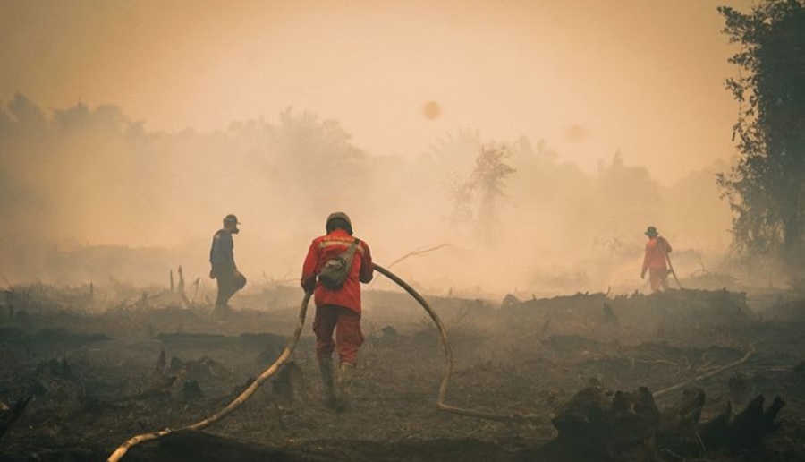 620 Hektare Lebih Lahan Disegel, Polda Sumsel Dalami 17 Laporan Karhutla Korporasi