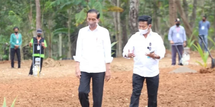 Jokowi Tunjuk Kepala Bapanas Sebagai Plt Mentan