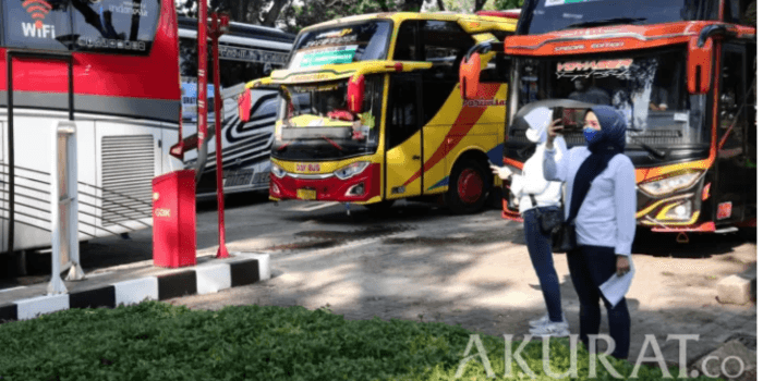 Dibuka Hari Ini! Jadwal, Rute  dan Link Hinga Tata Cara Pendaftaran Mudik Gratis Pemprov Sumsel