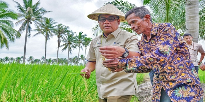 ALHAMDULILLAH! 9 Kategori Petani Dapat Bantuan Pupuk Bersubsidi Lebih Dari 9 Juta Ton di 2024, Apakah Kamu Termasuk?