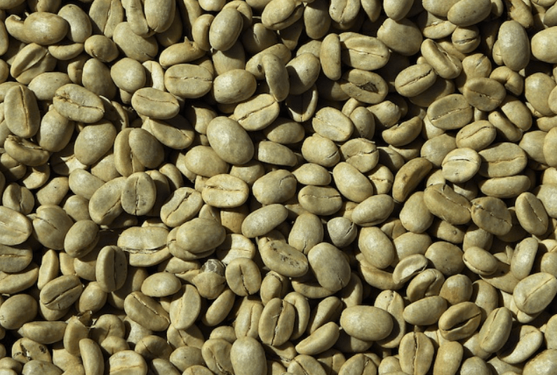 Sumsel Miliki Lahan Kopi Terluas di Indonesia, Produksi Capai Ratusan Ribu Ton Per Tahun