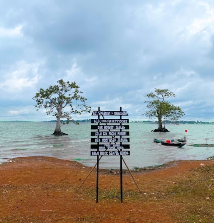 Pulau Kerikil, Destinasi Viral dengan Keindahan Rawa Unik di Sumatera Selatan
