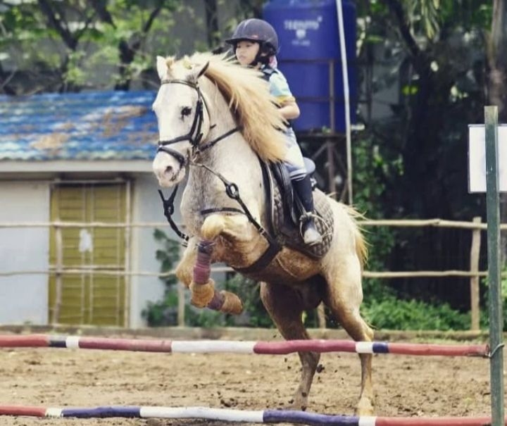 Wisata Anti Mainstream Palembang, Sensasi Berkuda di Tengah Kota