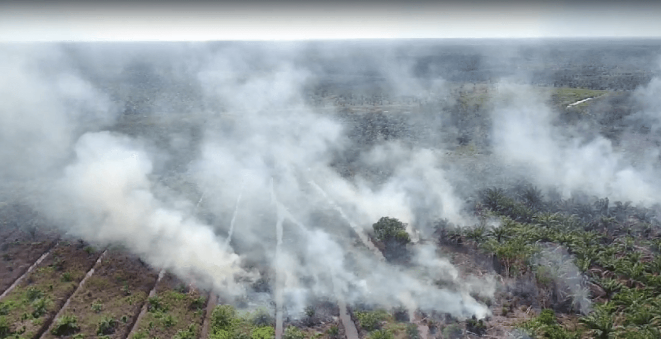 Hotspot di Sumsel Melonjak Jadi 147 Titik, Muba Paling Banyak, BPBD Tingkatkan Kewaspadaan Karhutla