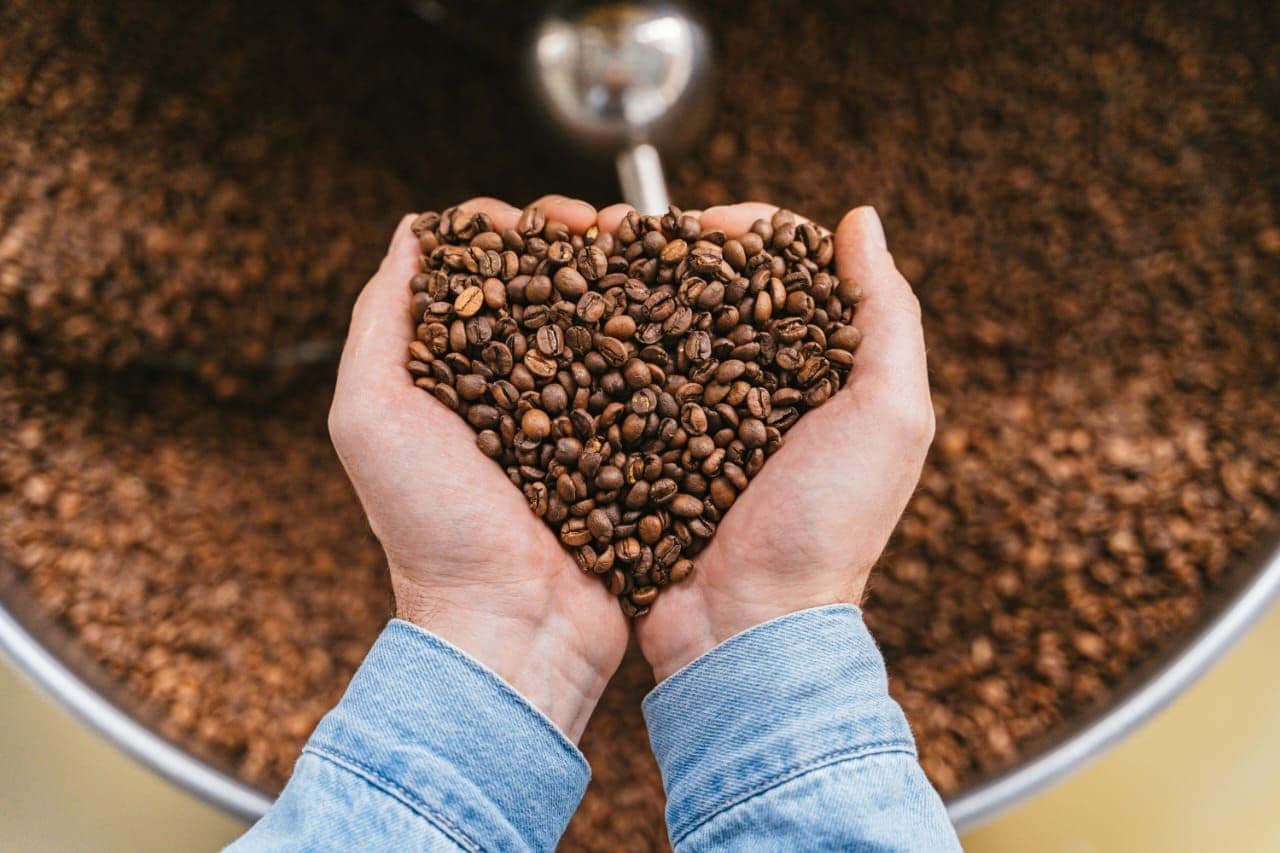 Kabar Gembira Awal Tahun 2026, Kopi Robusta Pagar Alam Kembali Tembus Pasar Internasional