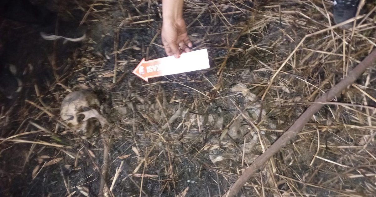Bersihkan Lahan Kaplingan yang Terbakar, Warga Talang Jambe Palembang Temukan Tengkorak Manusia