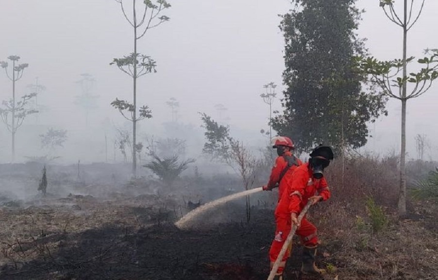 Karhutla di OKI Meluas, Asap Kebakaran Mengarah ke Palembang