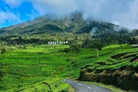 Gunung Dempo Erupsi, Pendakian Ditutup: Keselamatan Jadi Prioritas, Puluhan Pendaki Diminta Turun