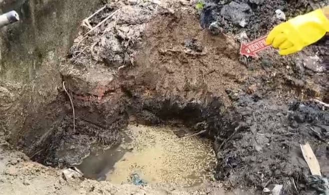 Sempat Dikira Kerangka Bayi, Temuan di SU II Palembang Ternyata Tulang Hewan