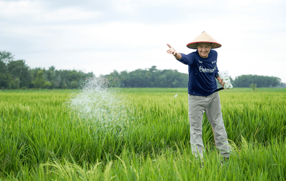 Tak Sekadar Jual Pupuk, Pusri Gencarkan Edukasi Petani Demi Dongkrak Produktivitas