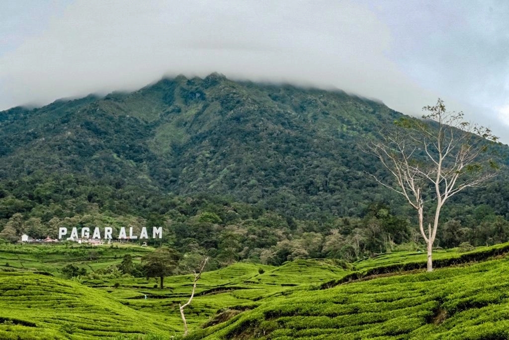 Wisata Gunung Dempo Ditutup Imbas Izin HGU, Gubernur Sumsel Turun Tangan Cari Solusi