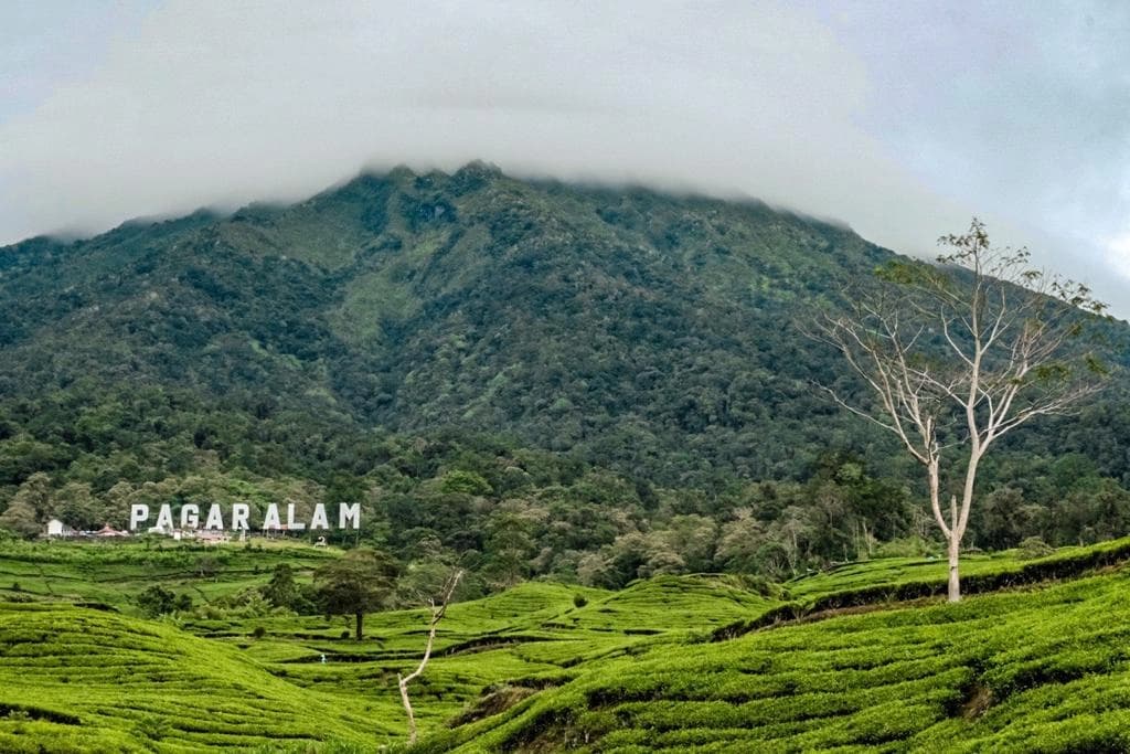Wisata Gunung Dempo Ditutup Imbas Izin HGU, Gubernur Sumsel Turun Tangan Cari Solusi