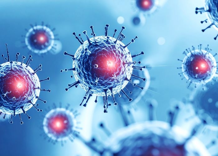 Ancaman Hantavirus Jadi Sorotan, Ahli Veteriner Sumsel Ingatkan Bahaya Sanitasi Buruk