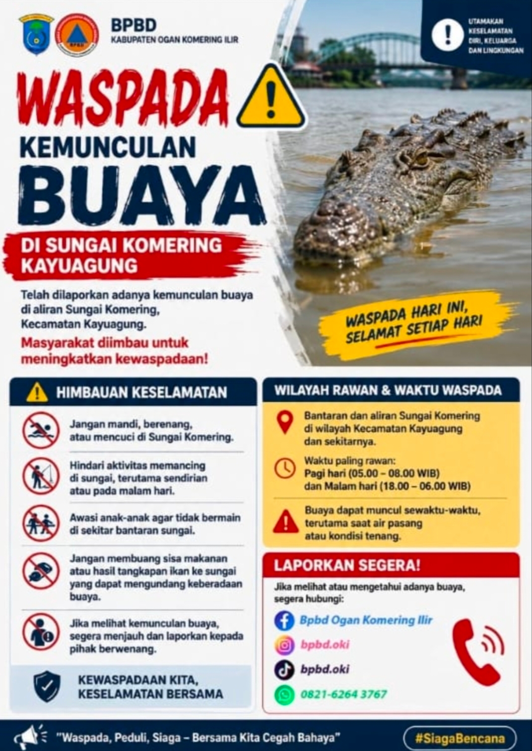 Warga OKI Diminta Waspada, Buaya Muara Kerap Muncul di Sungai Komering Saat Pagi dan Malam