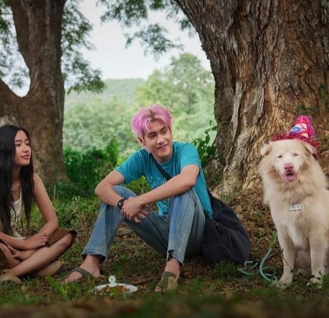 Sinopsis Gohan, Film Thailand tentang Kesetiaan Anjing