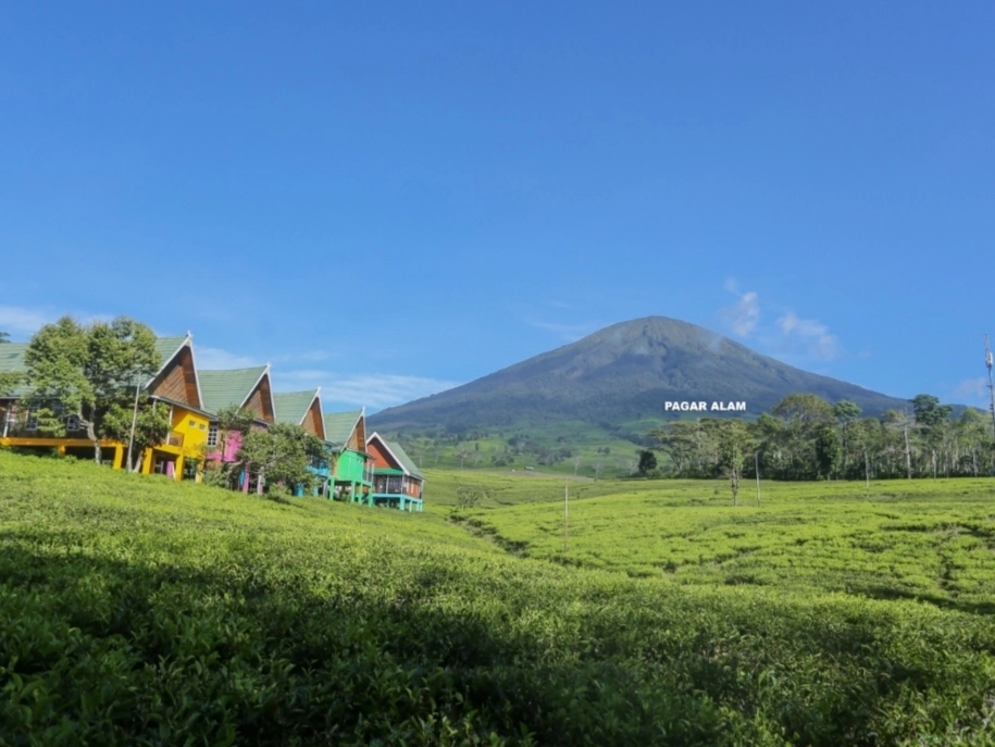 Desa Wisata Gunung Dempo Kembali Dibuka, Pengelola Diberi Waktu Tiga Bulan Lengkapi Izin