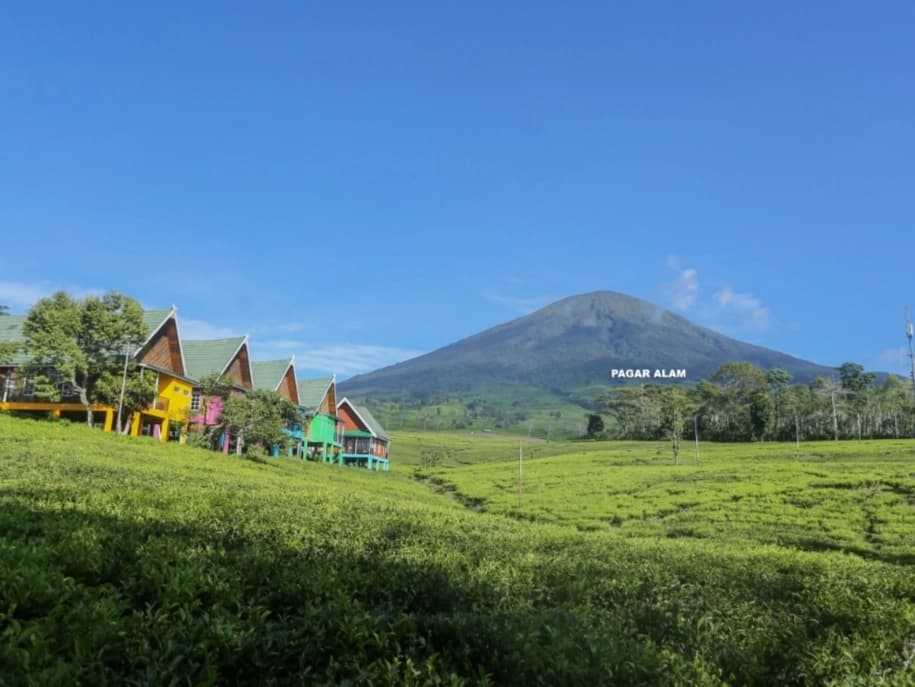 Desa Wisata Gunung Dempo Kembali Dibuka, Pengelola Diberi Waktu Tiga Bulan Lengkapi Izin