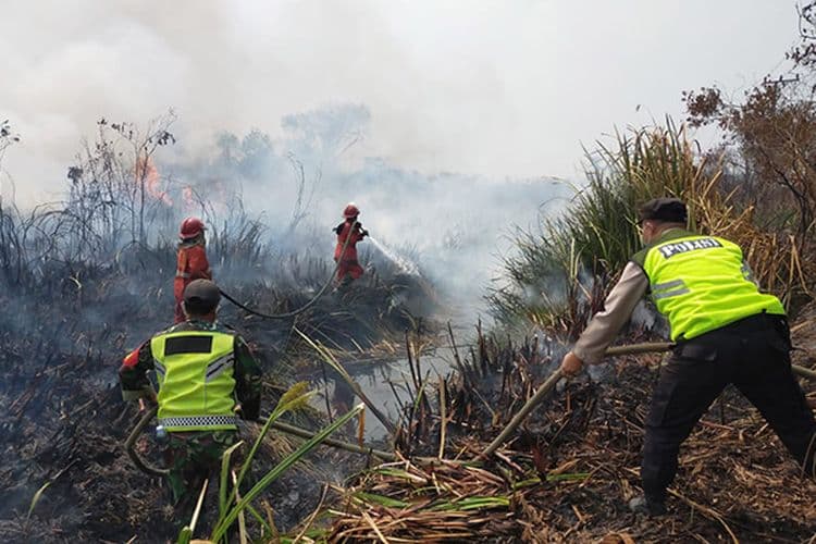 Karhutla di OKI Hanguskan 12 Hektare Lahan Gambut, Pemadaman Libatkan Water Bombing