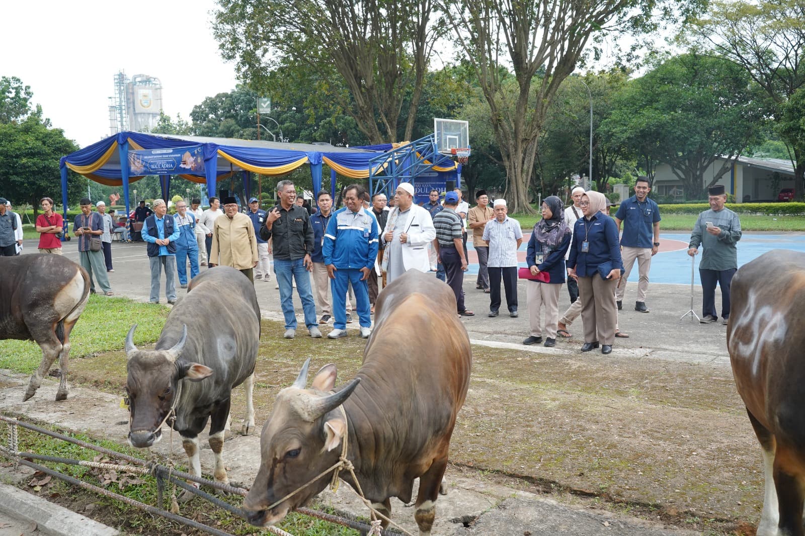 Idul Adha 1447 H, Pusri Palembang Kembali Bagikan Hewan Kurban untuk Masyarakat