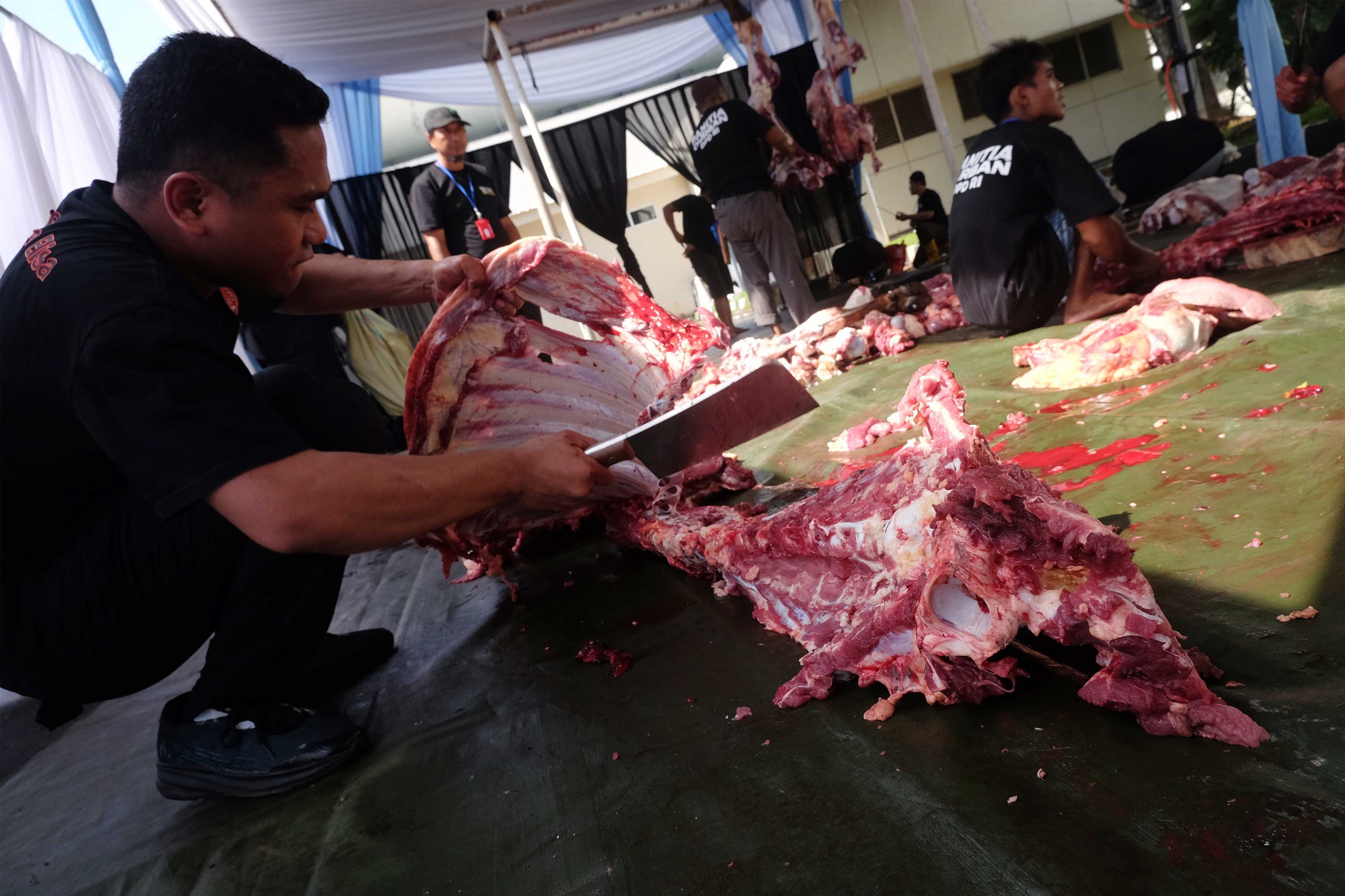 ASN Sumsel Patungan Kurban, 148 Sapi Disalurkan Tanpa Gunakan APBD