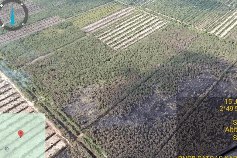15 Hektare Lahan di Banyuasin Terbakar, Tim Gabungan Masih Berjibaku di Lapangan