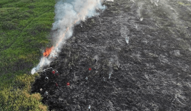 Karhutla di Sumsel Belum Sepenuhnya Padam, Manggala Agni Fokus Pemadaman di OKI, Banyuasin dan Muara Enim