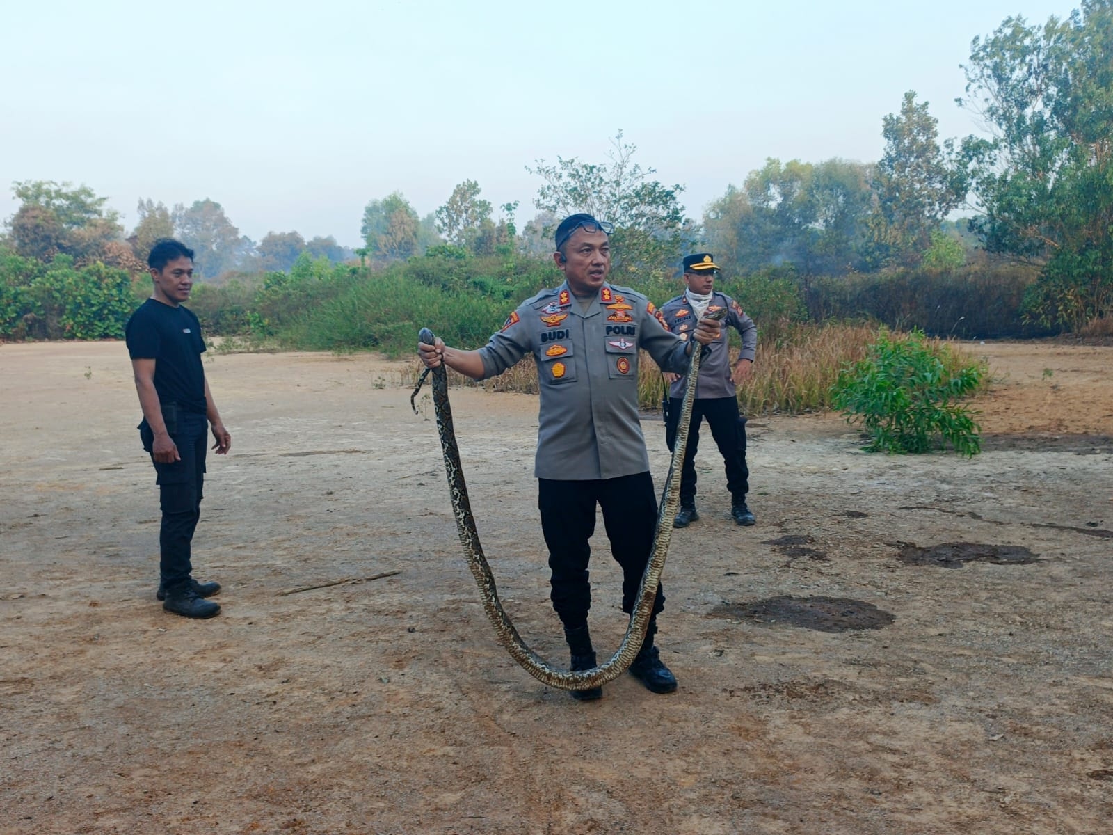 Petugas Temukan Ular 3 Meter Saat Padamkan Kebakaran Lahan di JSC Palembang