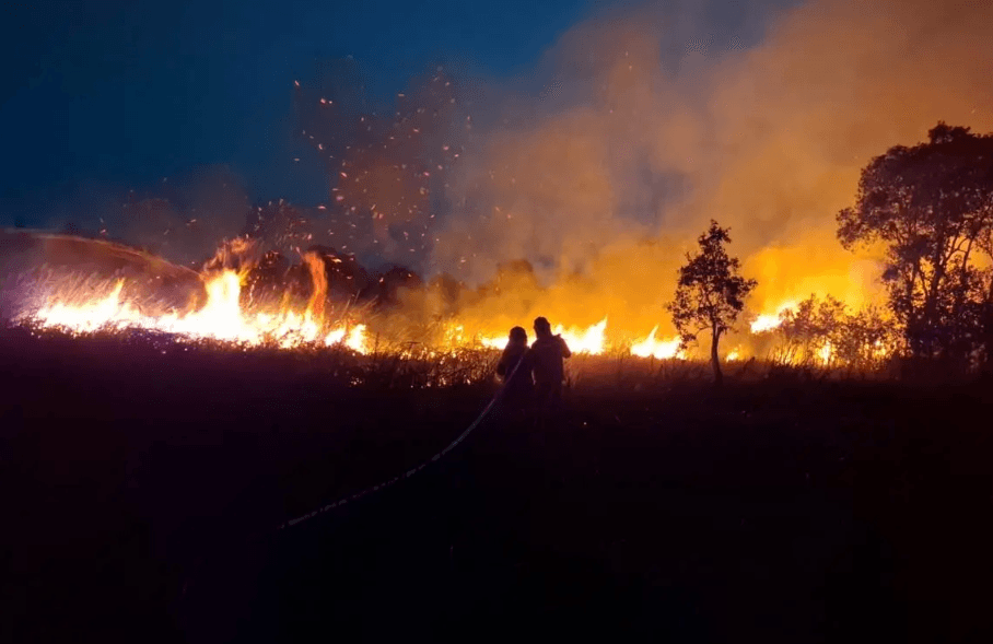 8.677 Hotspot Tercatat Sepanjang 2026, 91 Titik Muncul di Sumsel Hari Ini