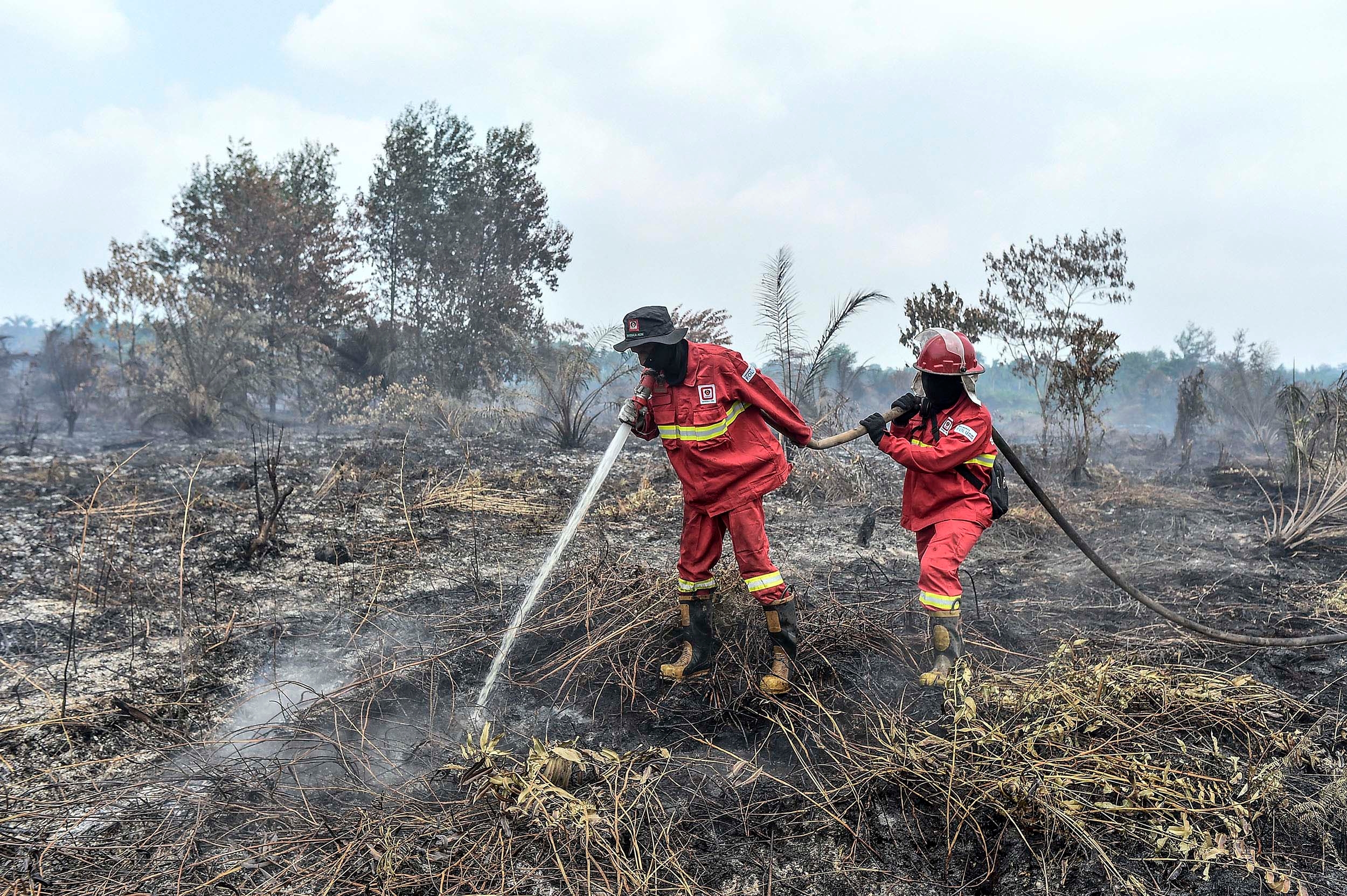 Hotspot Sumsel Tembus 1.079 Titik, Banyuasin Tertinggi Capai 394 Titik