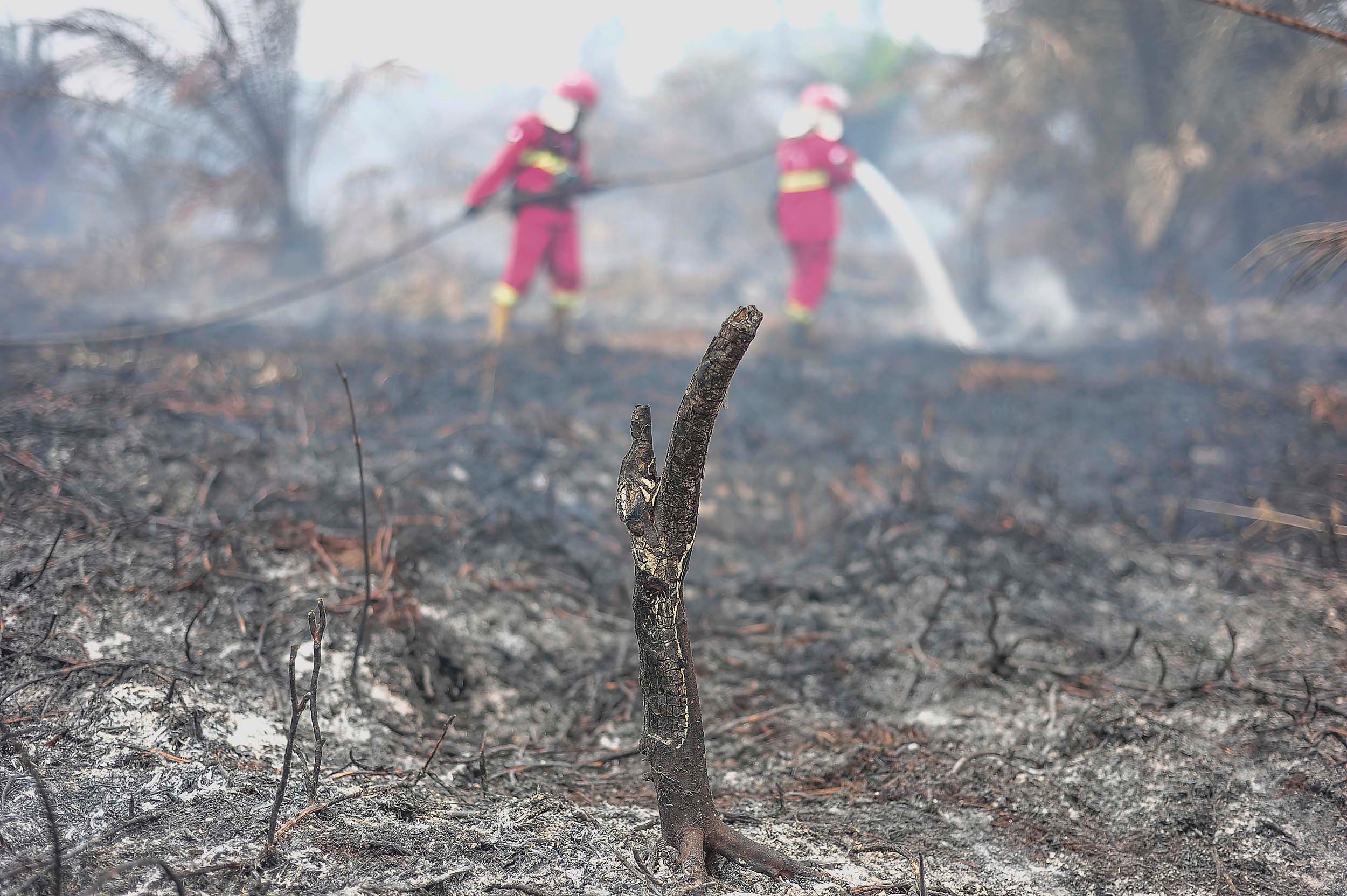 21 Konsesi Perusahaan Terbakar di Sumsel, Pemprov Buka Peluang Sanksi hingga Cabut Izin
