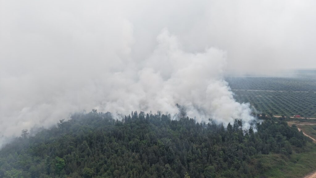 Kebakaran Gambut di Kebun Raya Sriwijaya Ogan Ilir Sulit Dipadamkan, Api Bisa Menyala dari Bawah Tanah