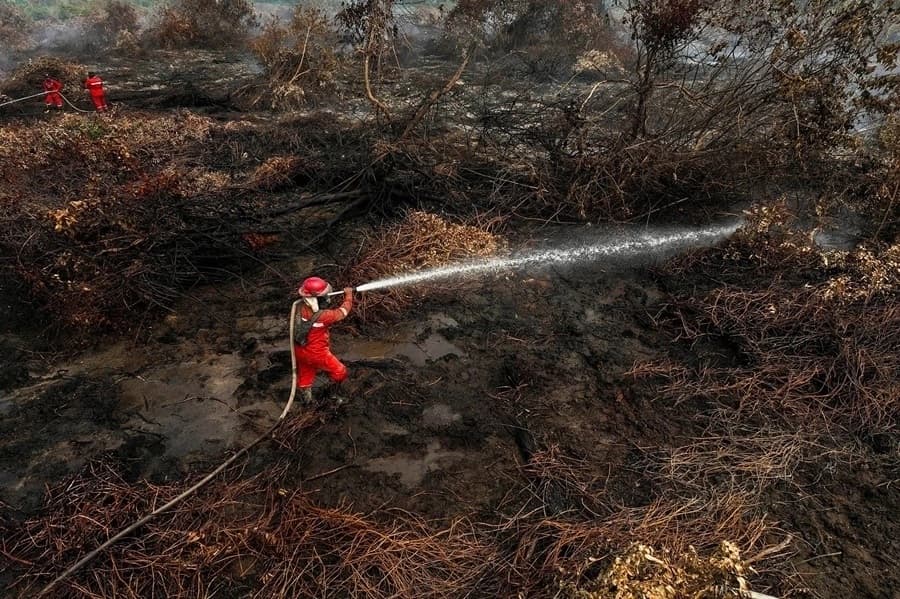 Pemerintah Kerahkan 64 Pesawat dan 54 Ribu Personel Tangani Karhutla di Indonesia