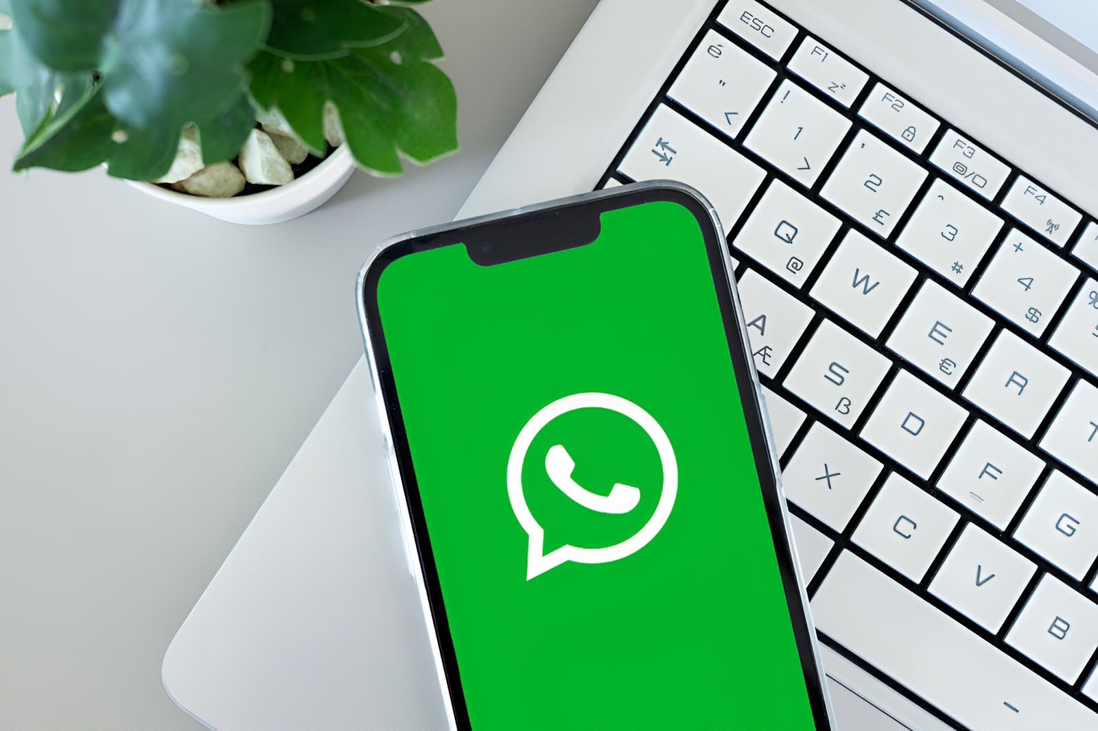 WhatsApp Uji Coba Tab Kontak Baru di Android, Bisa Lihat Teman yang Online dan Ulang Tahun