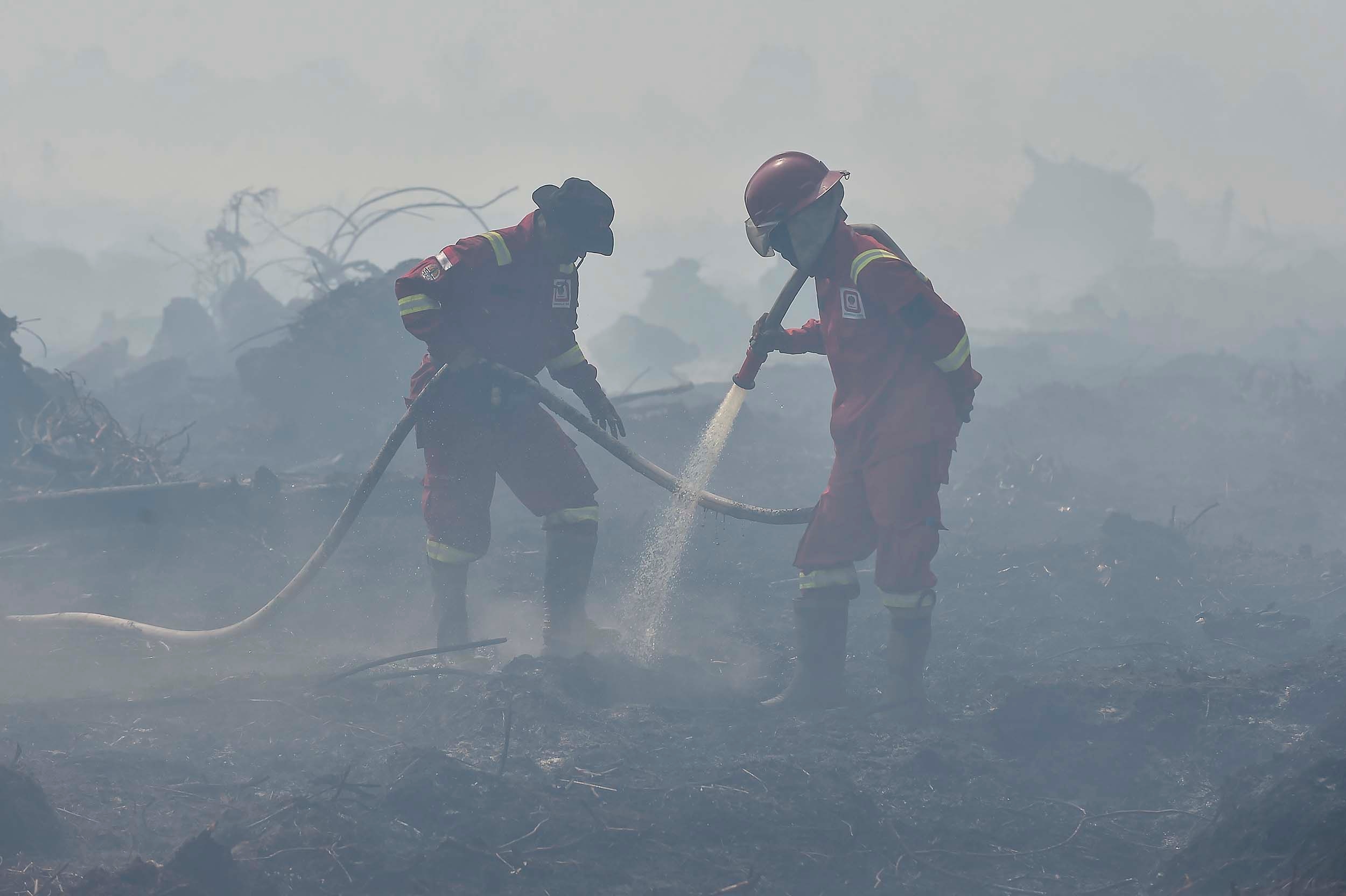 Peran Desa Diperkuat, Gubernur Sumsel Fokus Cegah Kebakaran Hutan dan Lahan