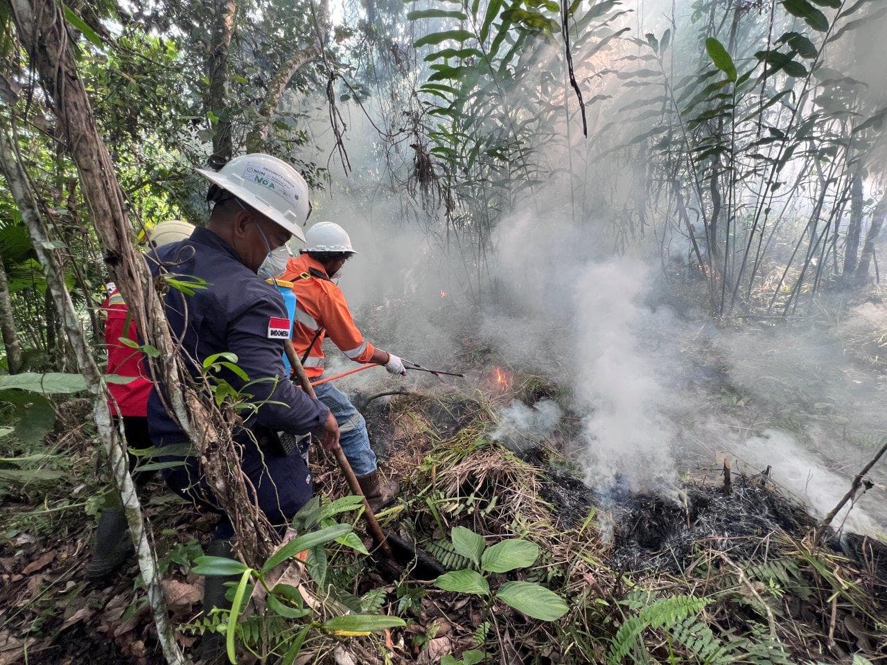 Tiga Daerah di Sumsel Siaga Karhutla, Muba Menyusul Jelang Kemarau Mei