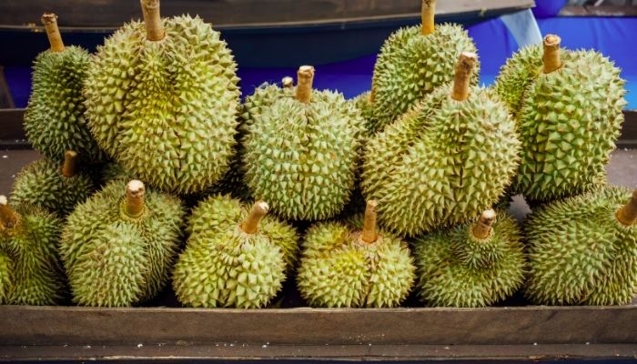 Durian Jadi Komoditas Buah Terbesar di Sumsel, Produksi Tembus 487 Ribu Kuintal