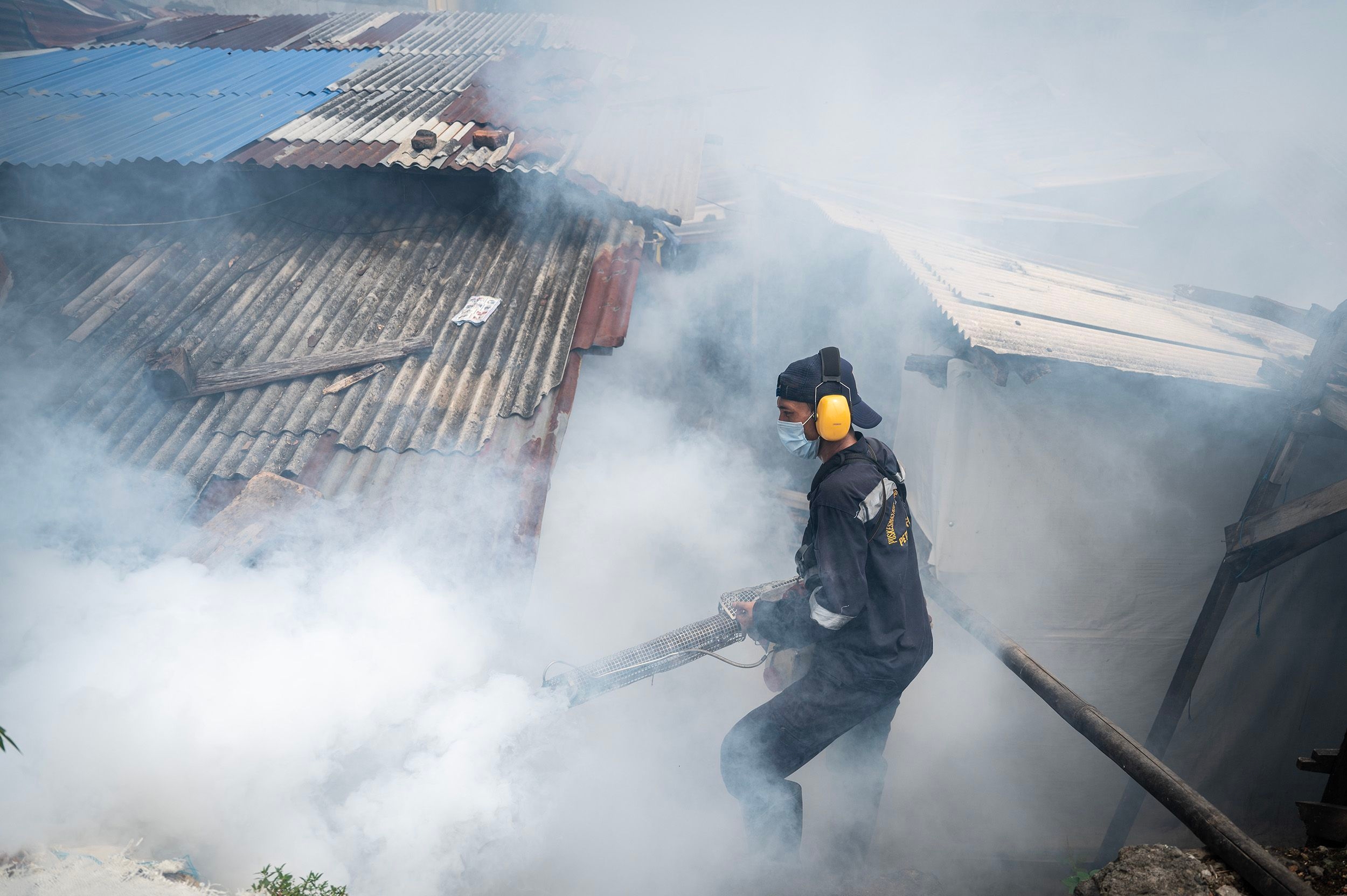 Kasus DBD di Sumsel Tembus 687, Empat Orang Meninggal, Palembang Tertinggi