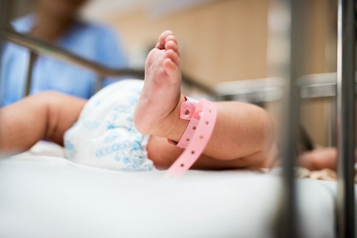 Jumlah Bayi Lahir di Sumatera Selatan 2025 Capai 38 Ribu Lebih, Palembang Tertinggi