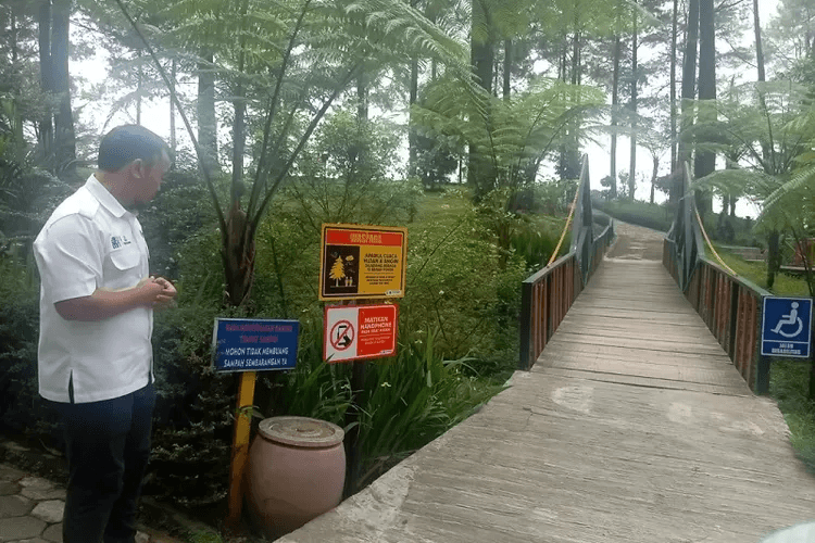 Buntut Kasus Jembatan Kaca Pecah, Wisata Hutan Pinus Limpakuwus Alami Kerugian Hingga Rp 100 juta