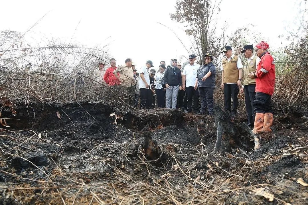 Mentri LHK Pantau Langsung Karhutla di Kabupaten OKI