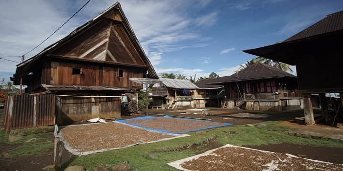 Bisa Tahan Gempa? Ini 3 Fakta Menarik dari Rumah Baghi: Rumah Tradisonal Khas Pagaralam