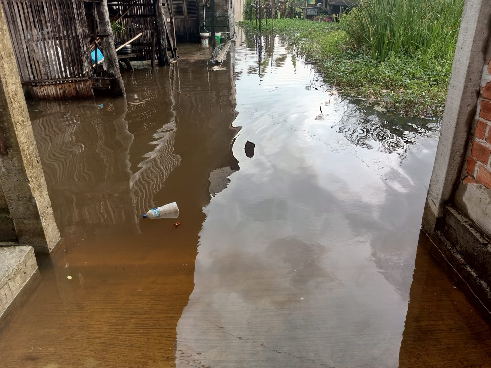 Perjuangan Warga Pinggir Sungai Musi Palembang Lewati Banjir Menuju TPS