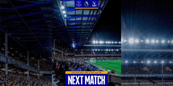 Prediksi Everton vs Crystal Palace 20 Februari 2024, Siapa Menang?