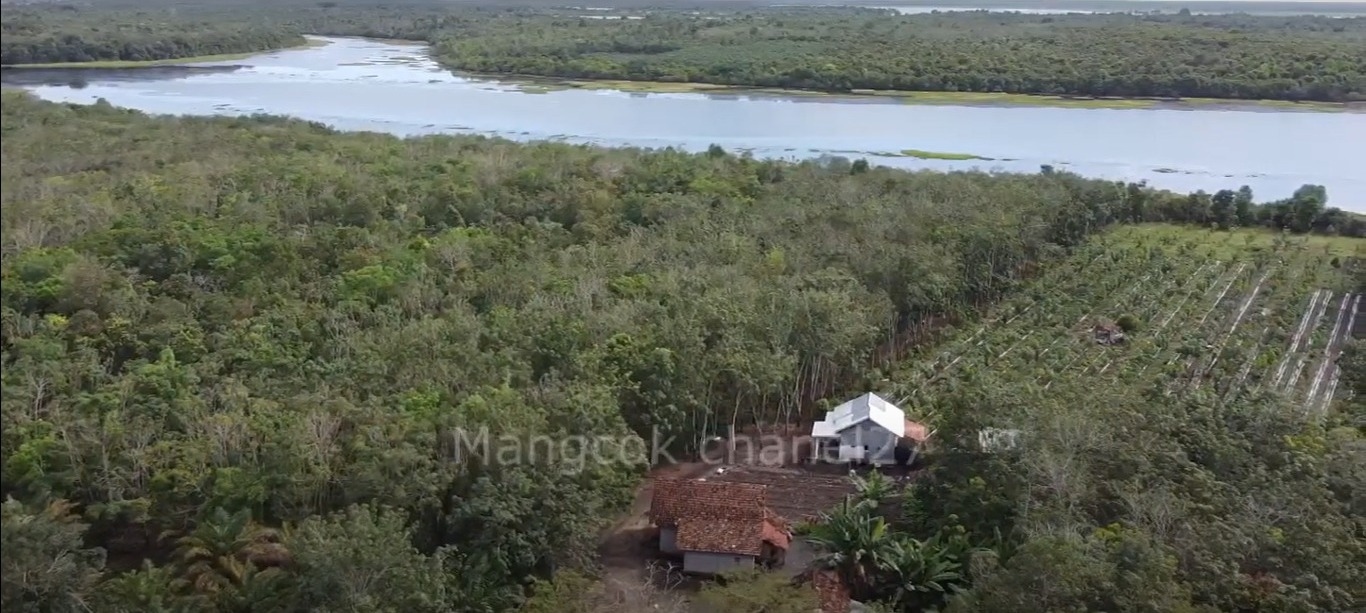 Pesona Alam Memukau Wisata Danau Teluk Rasau di Ogan Komerin Ilir: Rekomendasi Wisata Ramah Ekonomis
