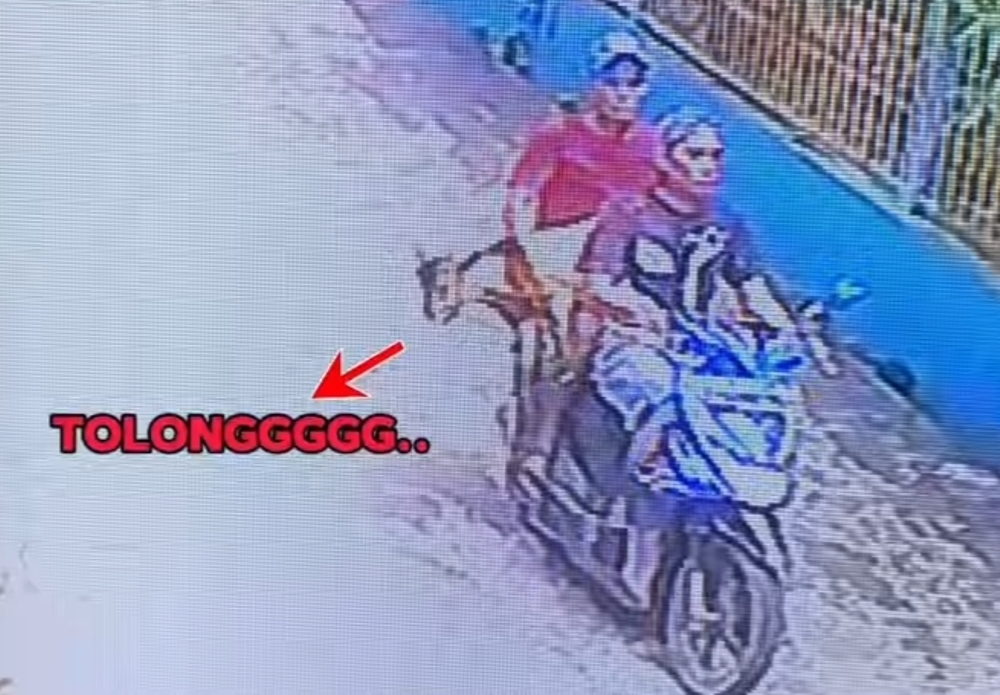 Terekam CCTV Curi Kambing Warga Aksi Dua Pria di Palembang Ini Viral di Sosial Media